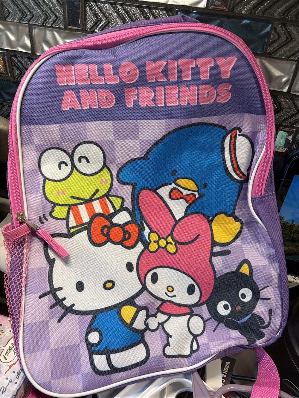 Hello Kitty Purple and Pink Kids Backpack with Character Panel